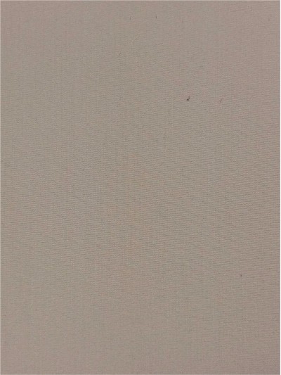 ZJ-HGTG 65% Polyester 35% Rayon  32*32+40D 西裝布 正面照